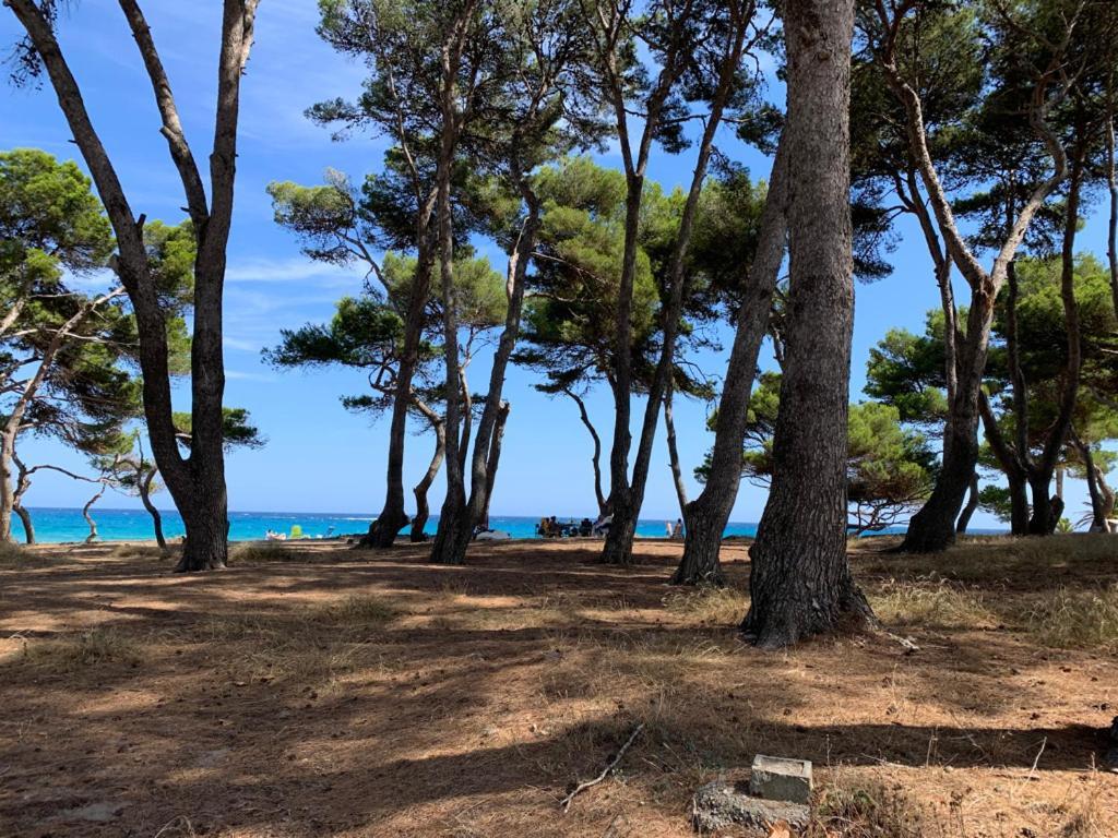 cala varques Canyamel  Extérieur photo